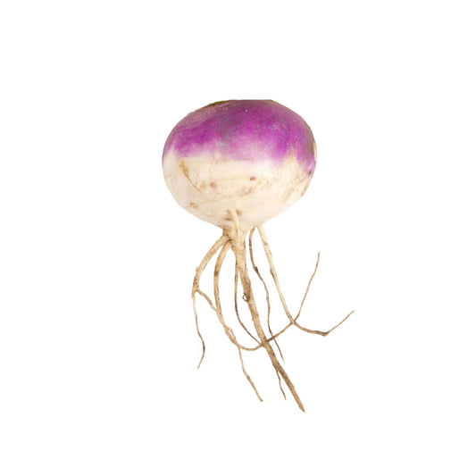 Turnip