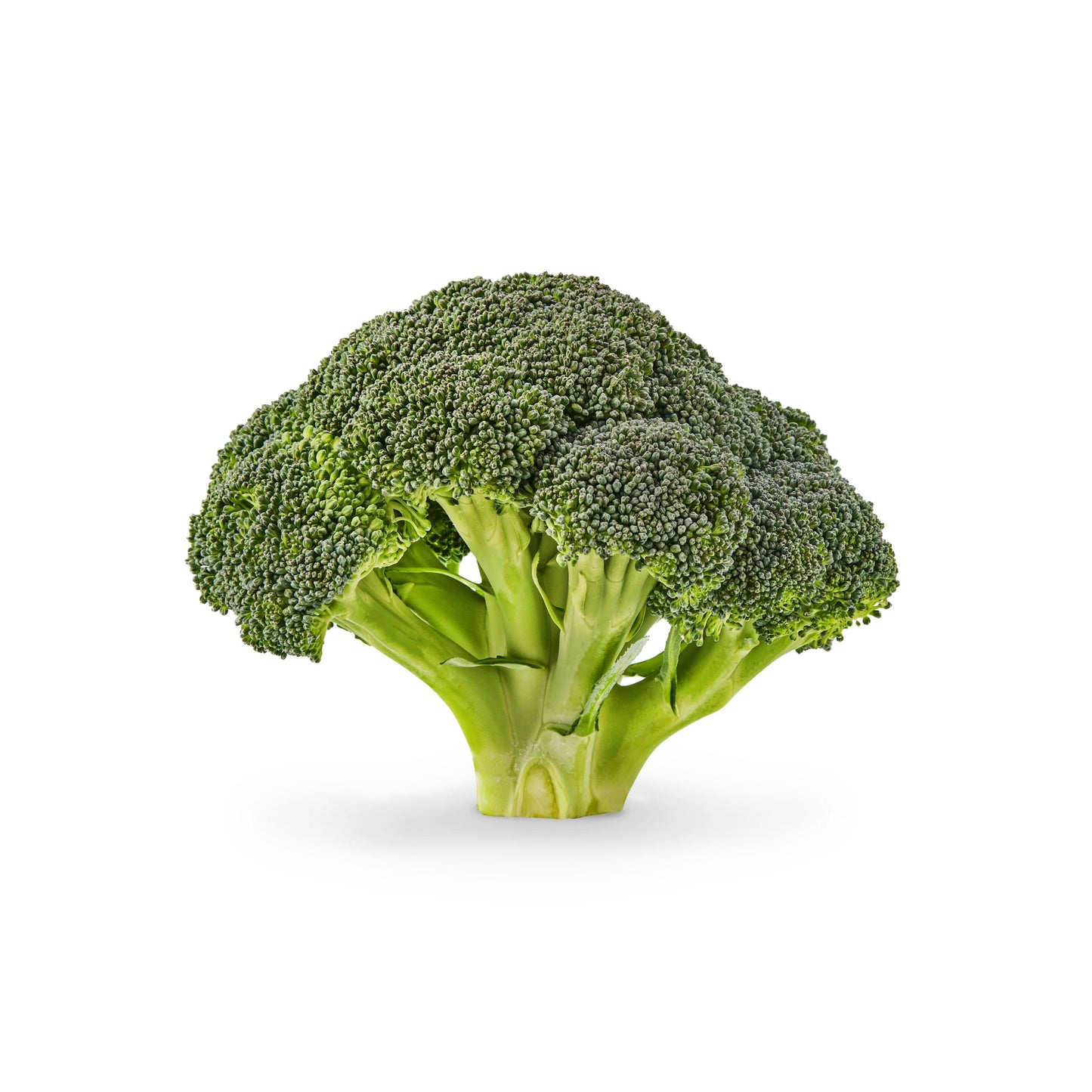 Broccoli Crown
