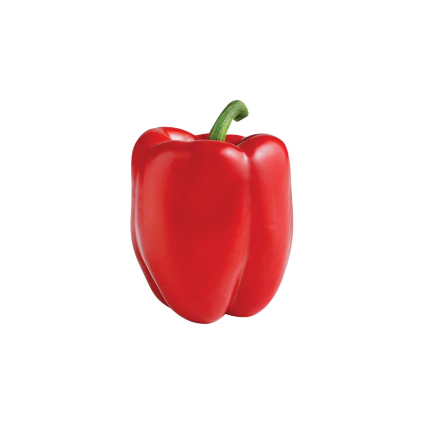 Red Bell Pepper