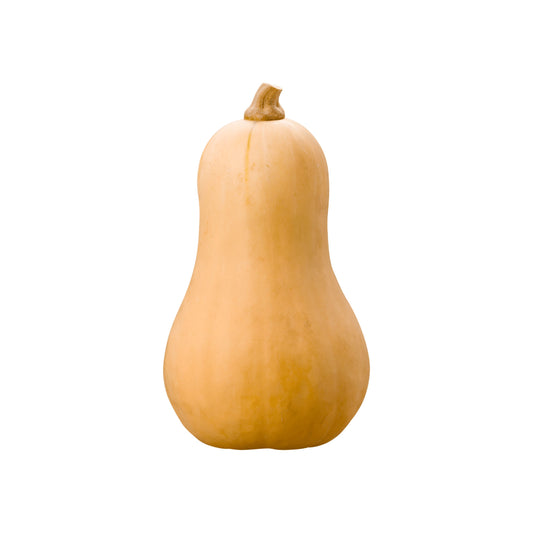 Butternut Squash