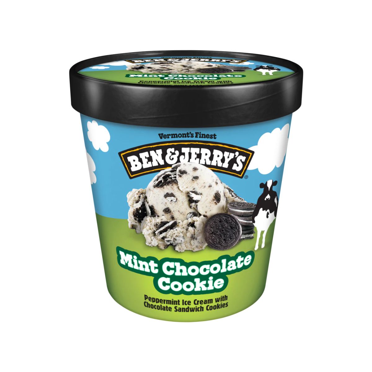 Ben & Jerry's Mint Chocolate Cookie