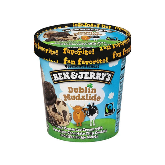 Ben & Jerry's Dublin Mudslide