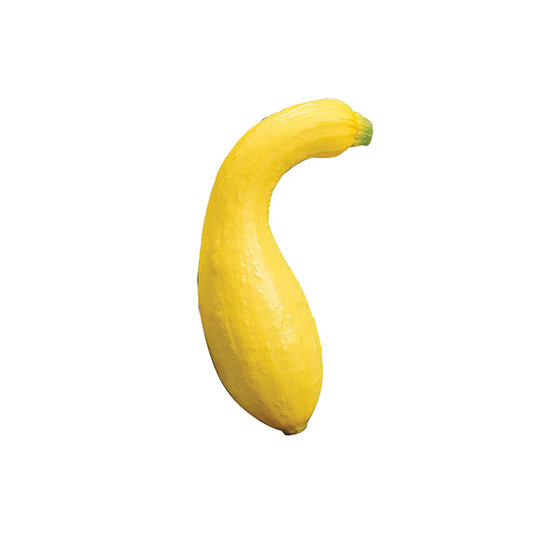 Summer Squash