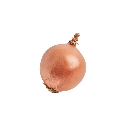 Spanish Onion