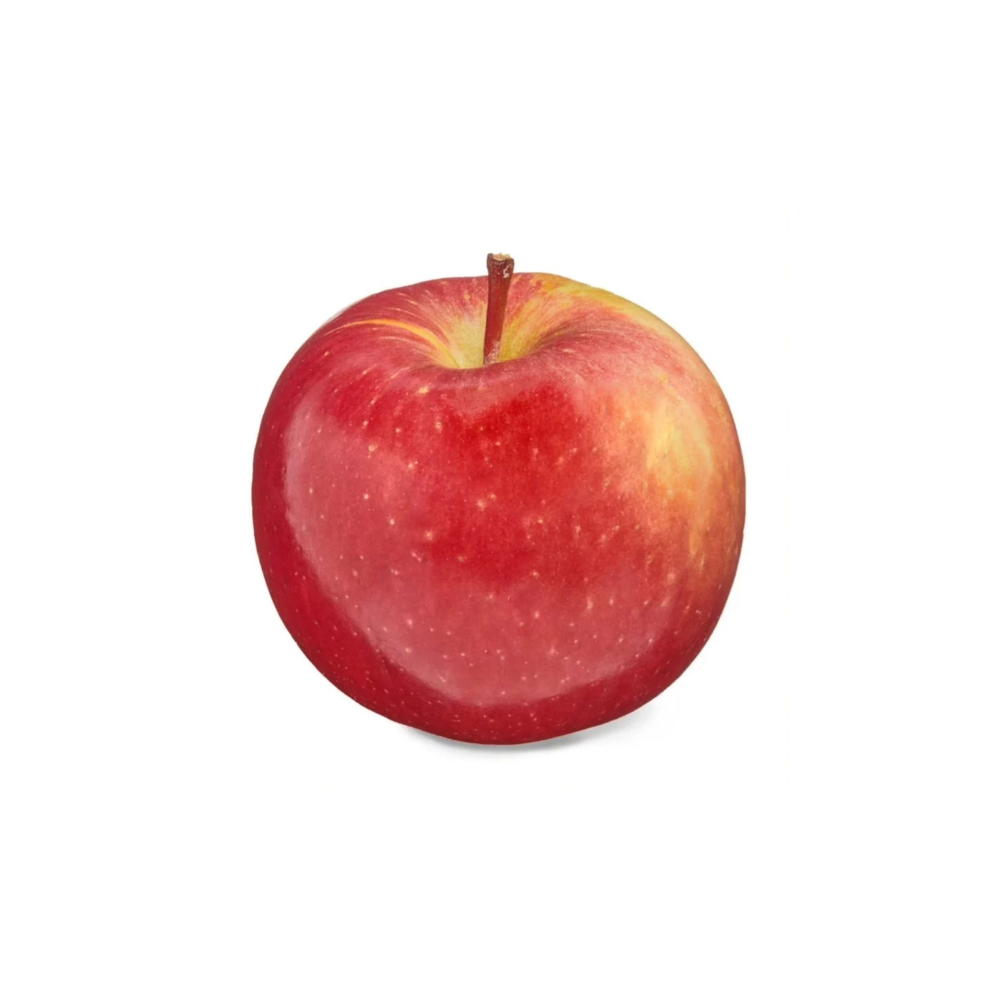 Fuji Apple