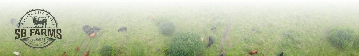 Foggy landscape with animals grazing, featuring the SB Farms logo.